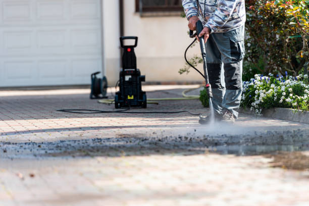 Best Best Pressure Washing Companies  in Steele, MO