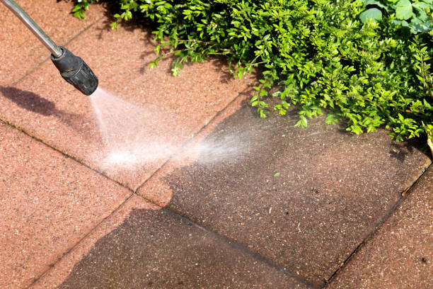 Best Power Washing Near Me  in Steele, MO
